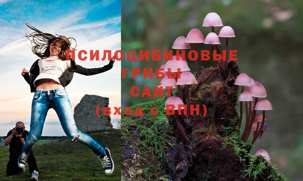 каннабис Алексин