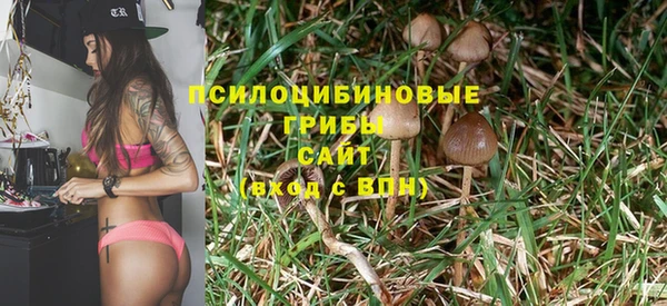 прущая мука Алзамай