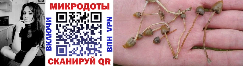 Галлюциногенные грибы мицелий  Невьянск 